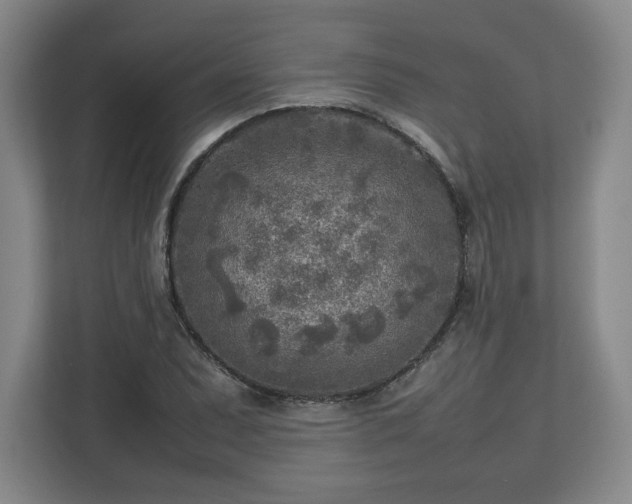 X0000112731071200908271423