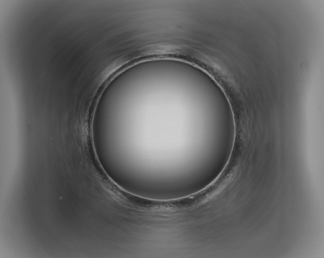 X0000112731073200908271423