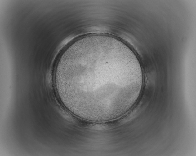 X0000112731074200908271423