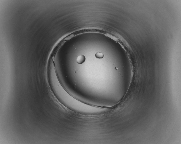 X0000112731076200908271423