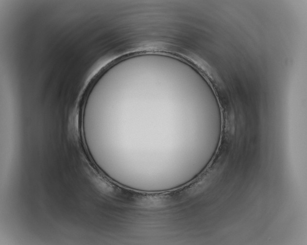 X0000112731078200908271423