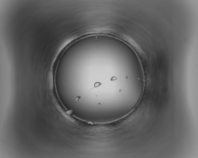 X0000112731079200908271423