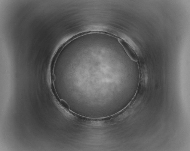 X0000112731080200908271423