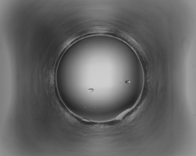 X0000112731081200908271423