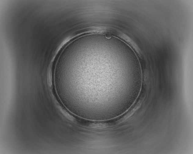 X0000112731083200908271423