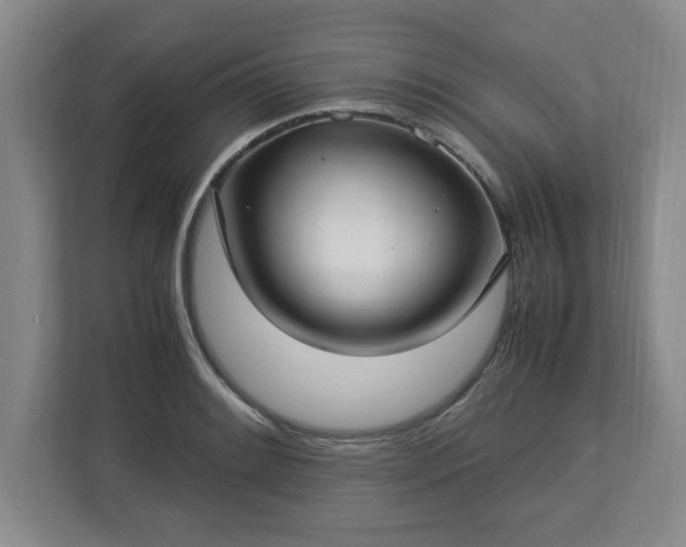 X0000112731084200908271423