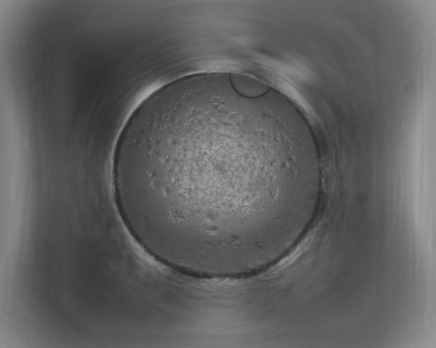 X0000112731087200908271423