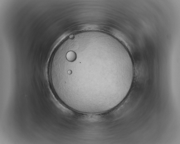 X0000112731090200908271423