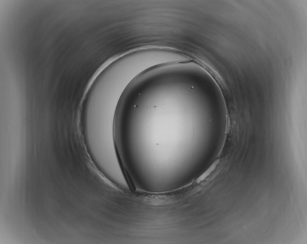 X0000112731092200908271423