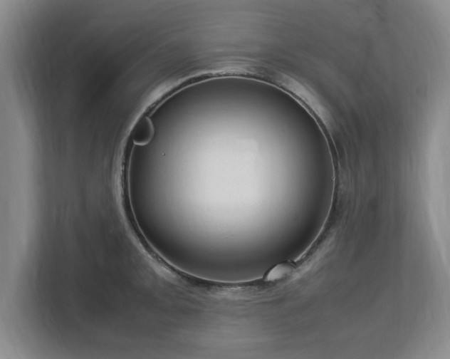 X0000112731093200908271423