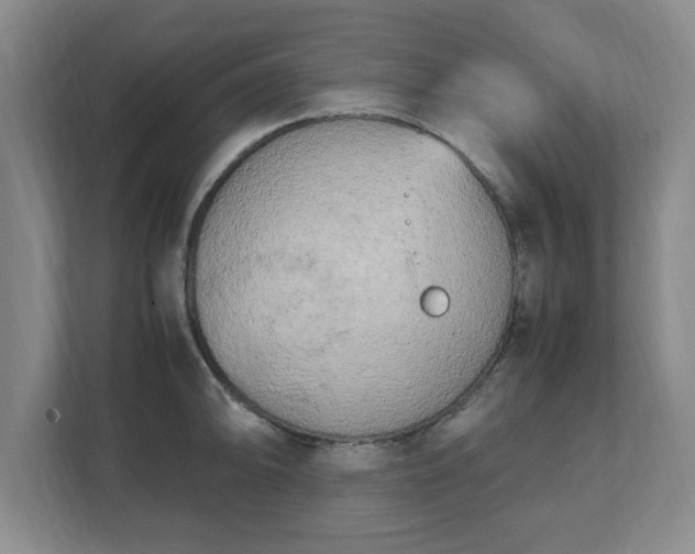 X0000112731094200908271423