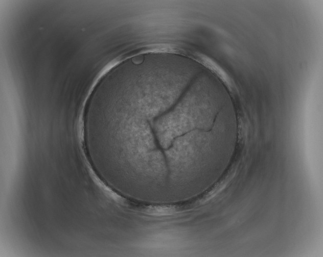 X0000112731095200908271423