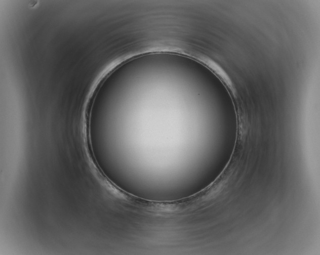 X0000112731096200908271423