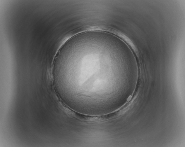 X0000112731097200908271423