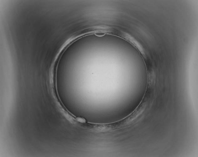 X0000112731099200908271423