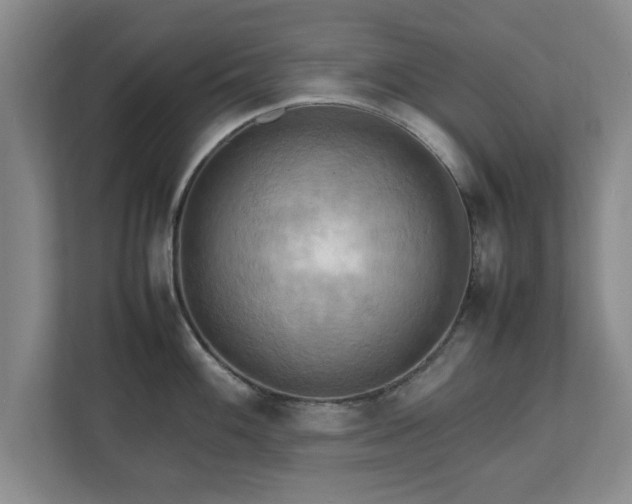 X0000112731100200908271423