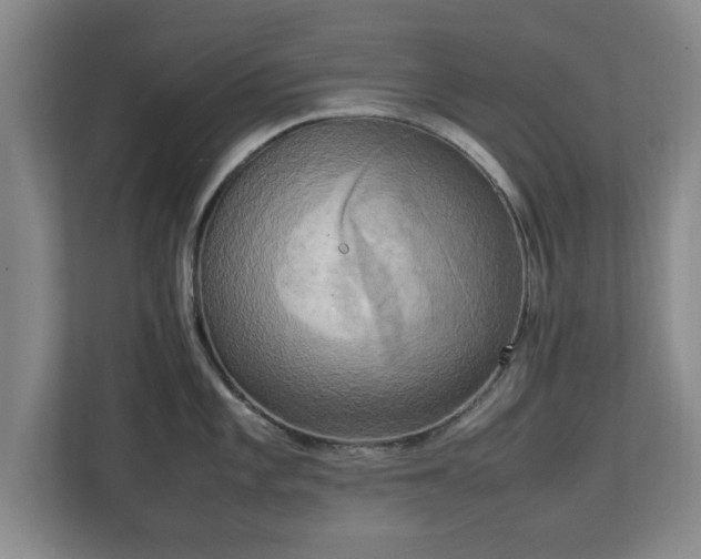 X0000112731101200908271423