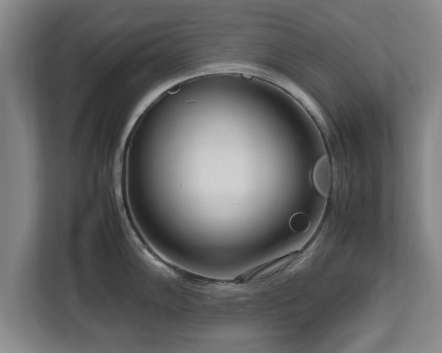 X0000112731102200908271423