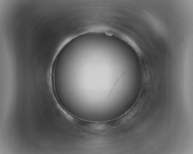 X0000112731103200908271423