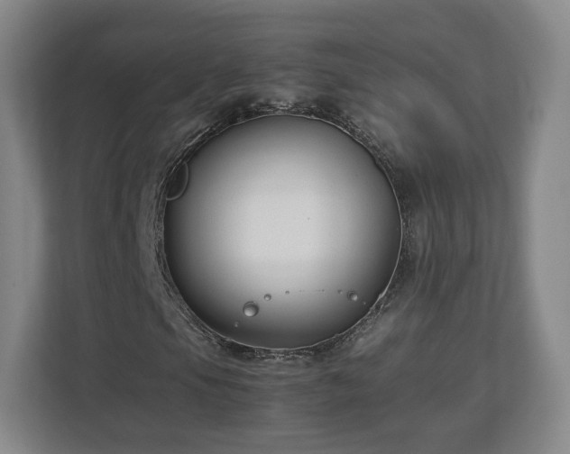 X0000112731105200908271422