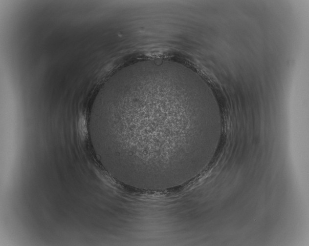 X0000112731106200908271422