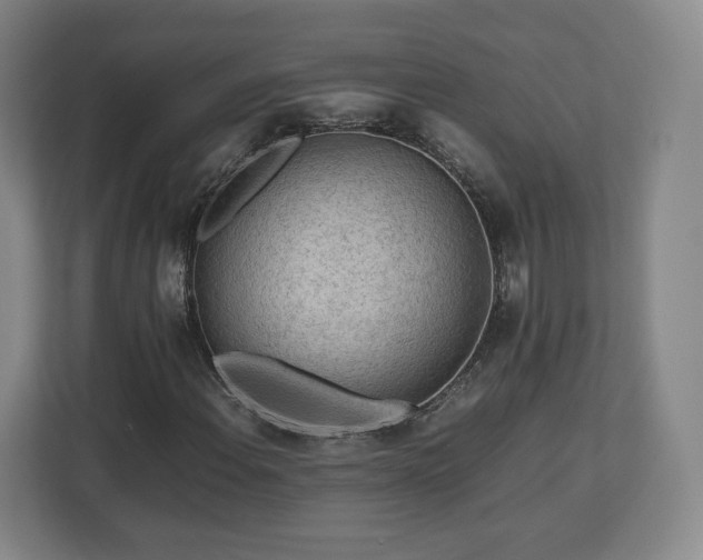 X0000112731108200908271422