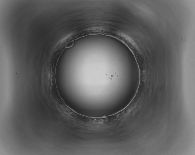 X0000112731111200908271423