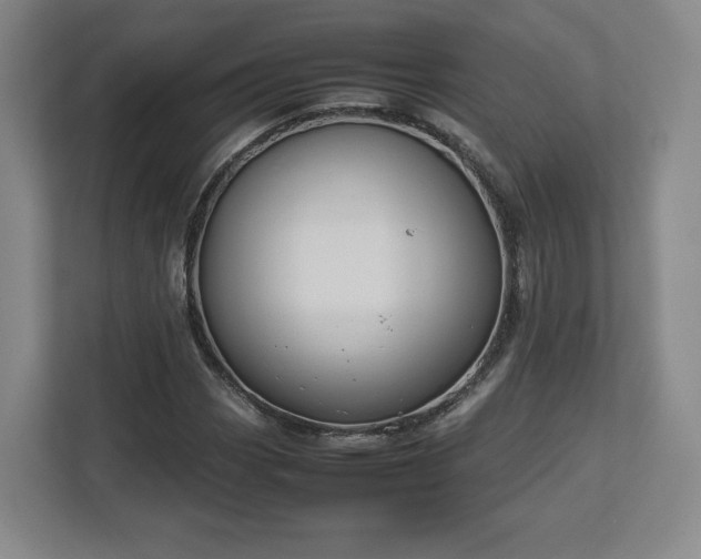 X0000112731113200908271423