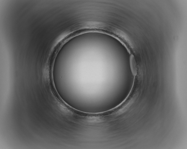 X0000112731114200908271423