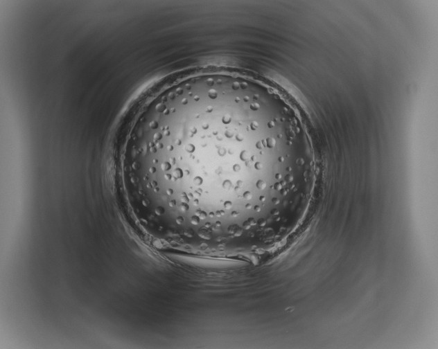 X0000112731115200908271423