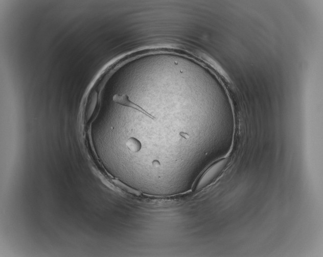 X0000112731116200908271423