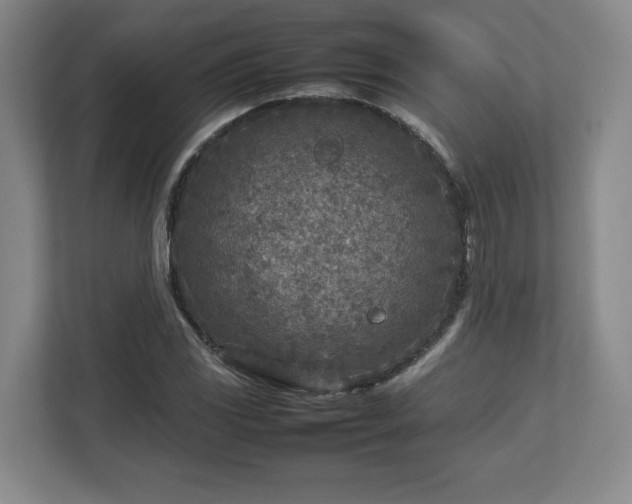 X0000112731117200908271423