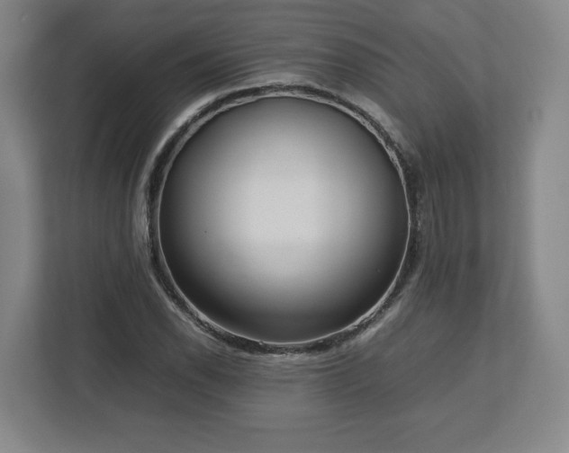 X0000112731118200908271423