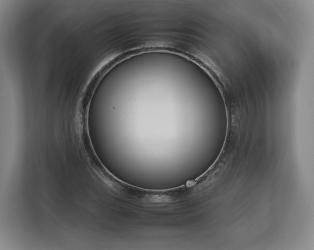 X0000112731119200908271423