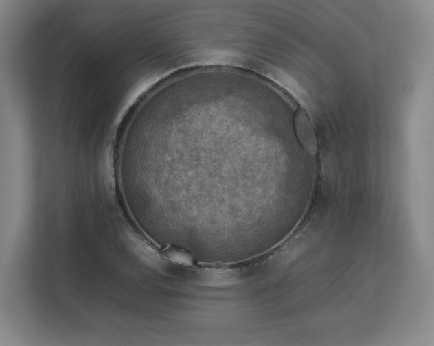 X0000112731120200908271423