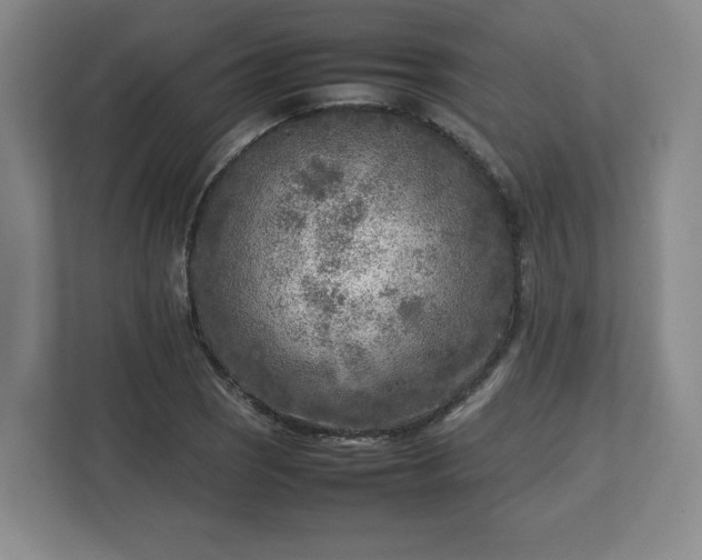 X0000112731121200908271423