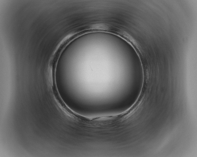 X0000112731123200908271423