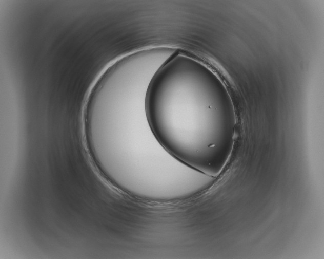 X0000112731124200908271423