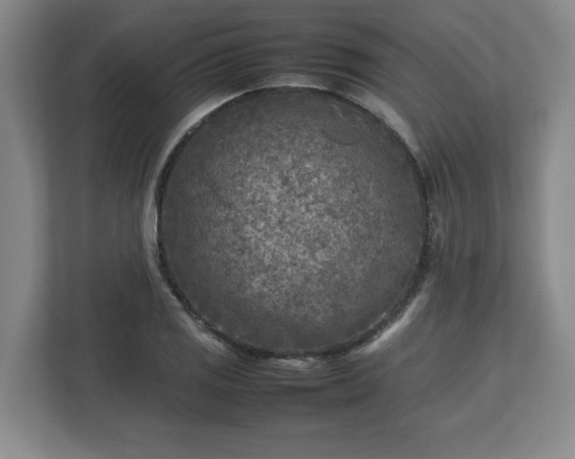 X0000112731125200908271423