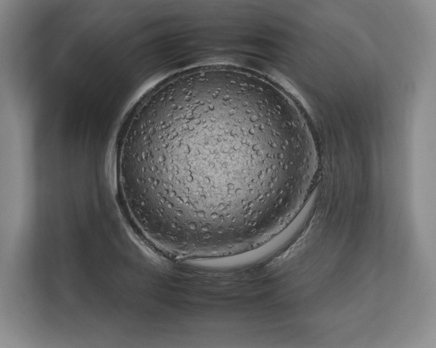 X0000112731127200908271423