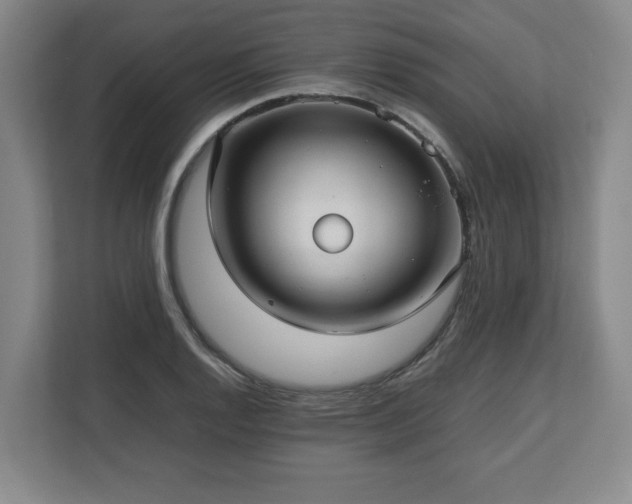 X0000112731128200908271423