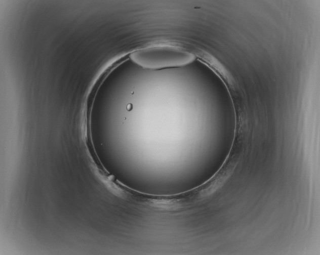 X0000112731132200908271423