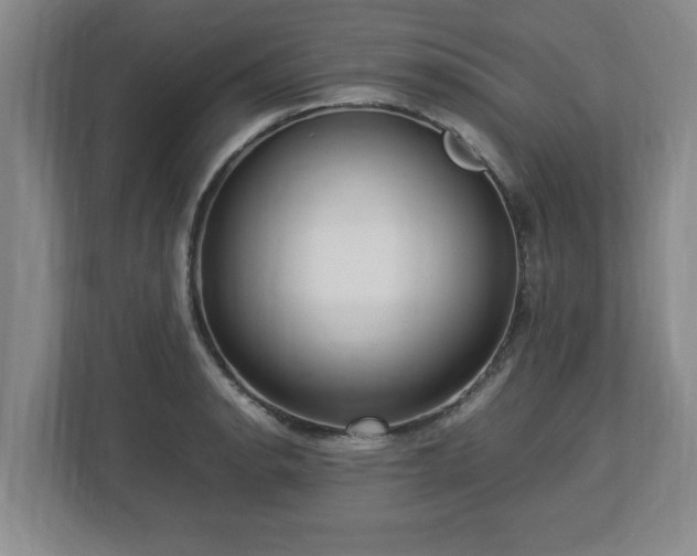 X0000112731134200908271423