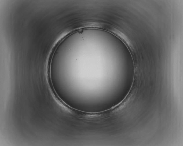 X0000112731135200908271423