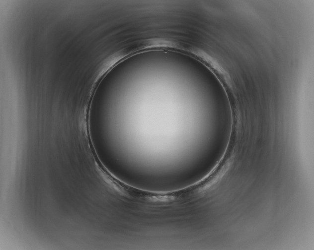 X0000112731137200908271423