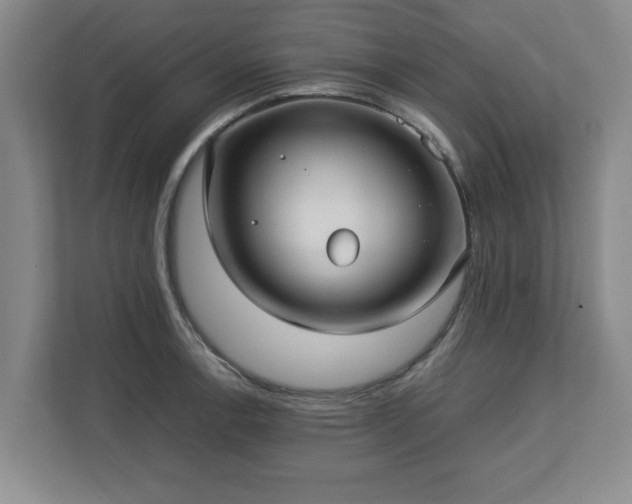 X0000112731138200908271423