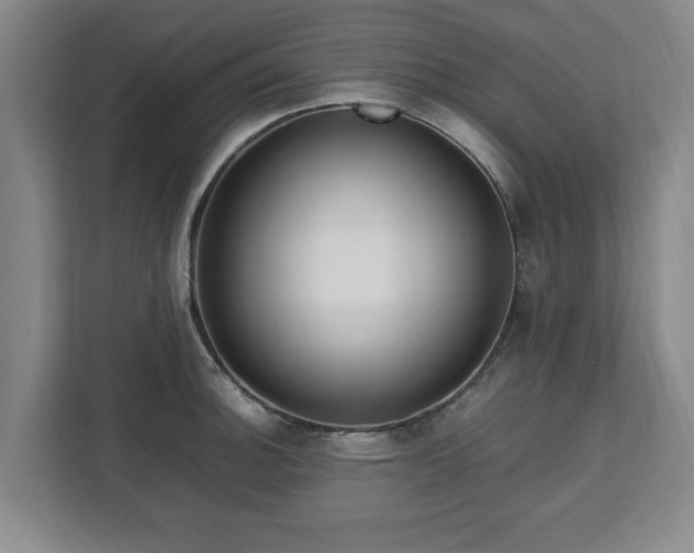 X0000112731140200908271423