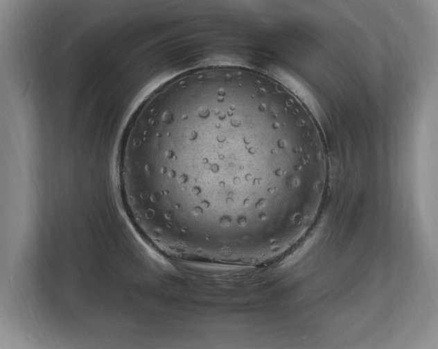 X0000112731141200908271423