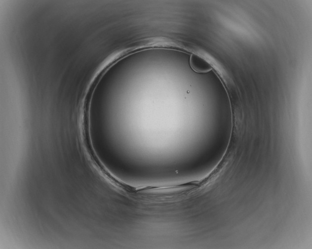 X0000112731142200908271423