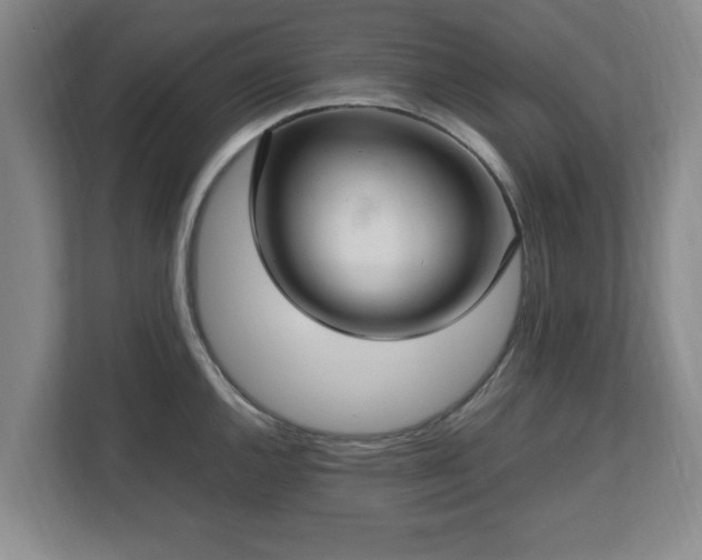 X0000112731144200908271423